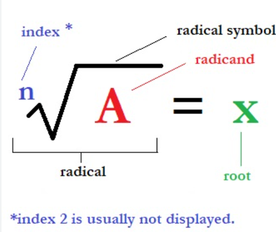 roots-of-a-number-square-roots-vs-other-roots